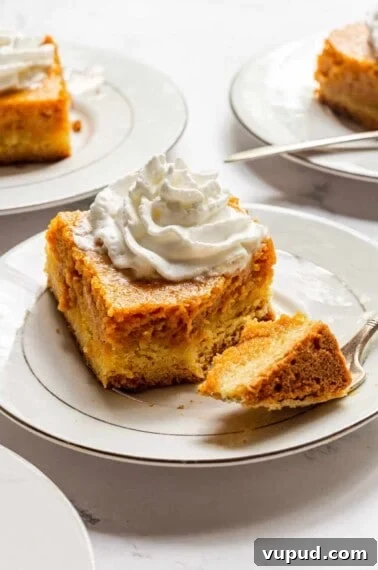 No-Bake Pumpkin Cheesecake with Gingersnap Crust 12 gooey butter cake on a plate