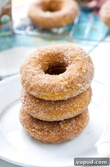 No-Bake Pumpkin Cheesecake with Gingersnap Crust 17 These Baked Pumpkin Spice Donuts, topped with cinnamon-sugar, are the ultimate easy fall dessert!