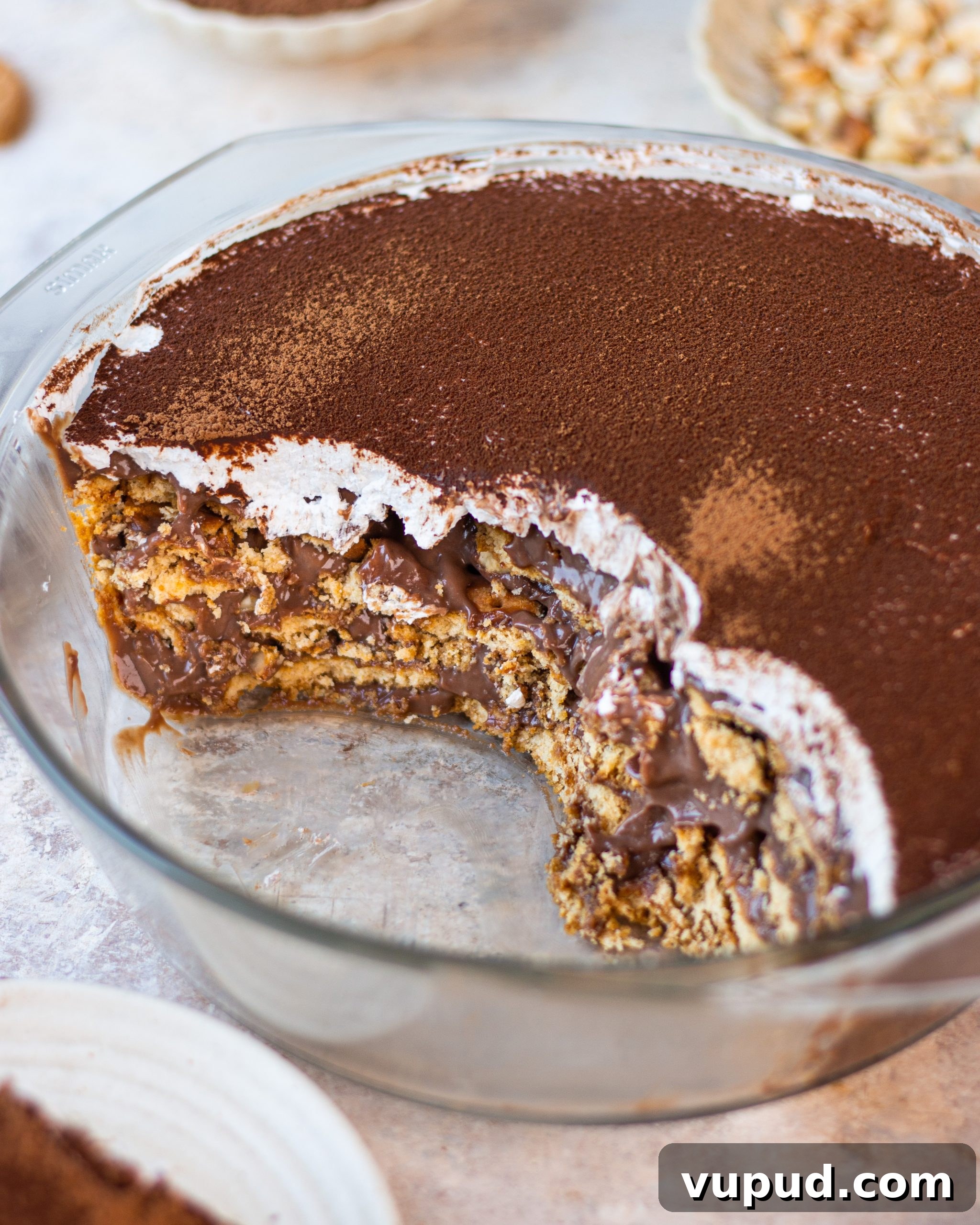 Nutella Biscuit Pudding Without Eggs — Creamy No-Bake Dessert 3 eggless nutella biscuit pudding