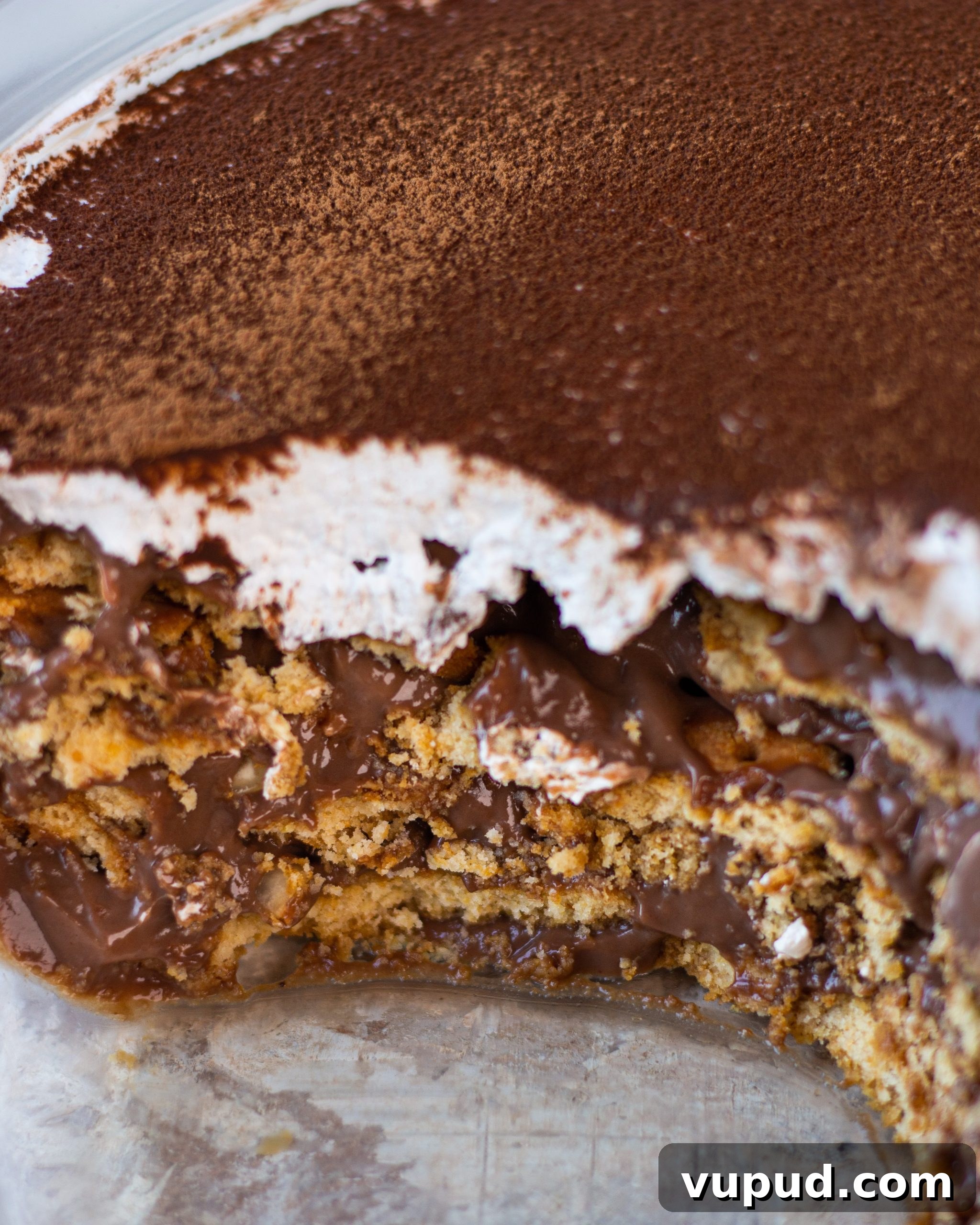 Nutella Biscuit Pudding Without Eggs — Creamy No-Bake Dessert 4 eggless nutella biscuit pudding