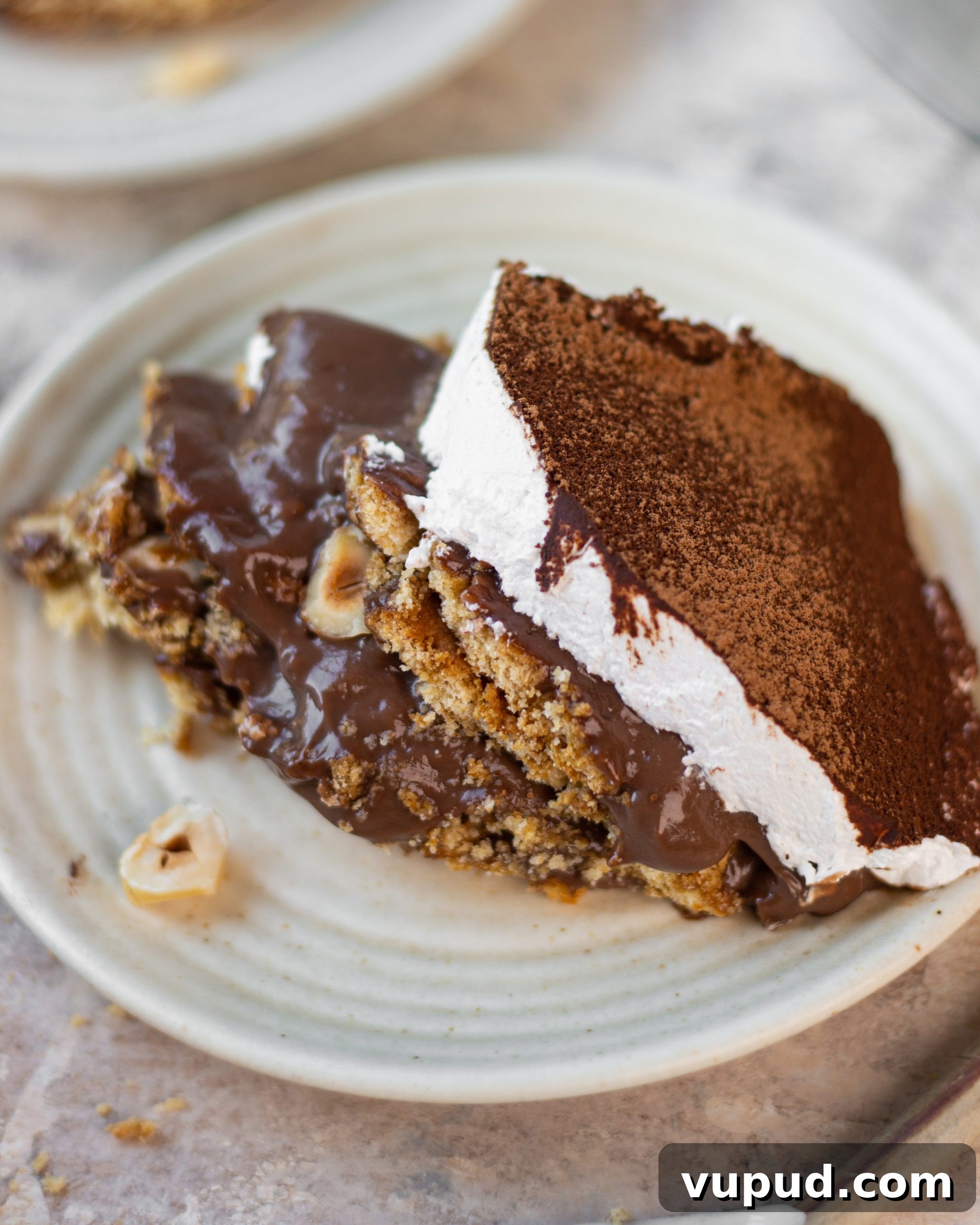 Nutella Biscuit Pudding Without Eggs — Creamy No-Bake Dessert 5 eggless nutella biscuit pudding