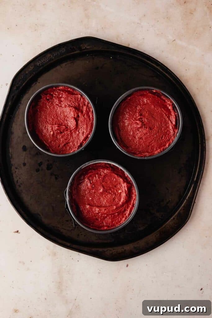 Red Velvet Mini Conversation Heart Cakes — Romantic Valentine Treats 12 Red velvet mini cakes ready to bake