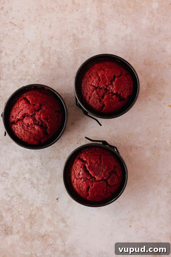 Red Velvet Mini Conversation Heart Cakes — Romantic Valentine Treats 13 baked red velvet mini cakes