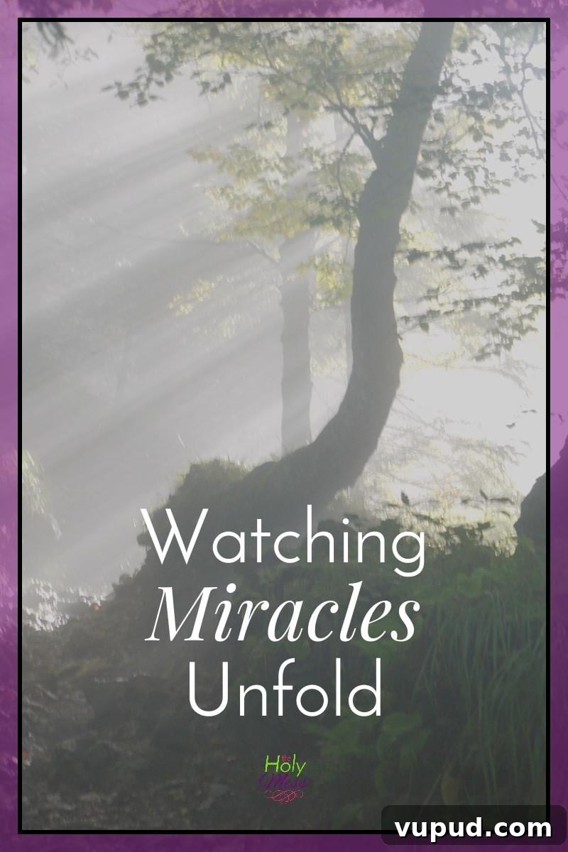 Witness Miracles: Real Stories That Inspire Change 3 Watching Miracles Unfold|The Holy Mess