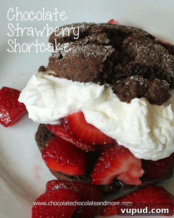 Chocolate Strawberry Shortcake Chocolate Strawberry Shortcake