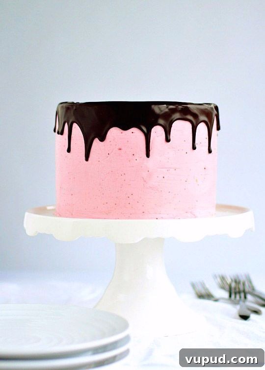 Chocolate & Strawberry Buttercream Cake Chocolate & Strawberry Buttercream Cake