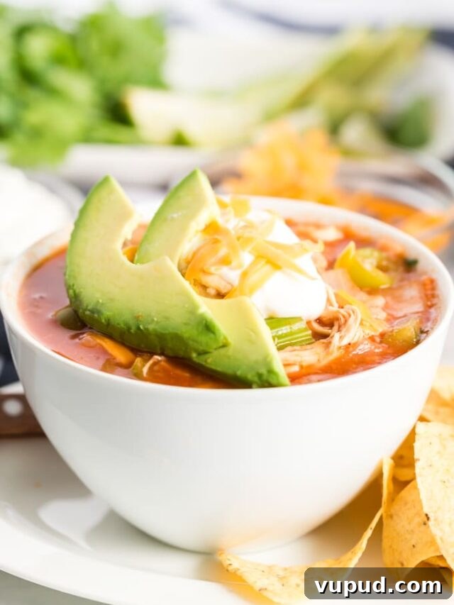 $80 Weekly Meal Plan: 5 Budget-Friendly Dinners for the Week 5 cropped-Tortilla-Soup-17-of-19.jpg
