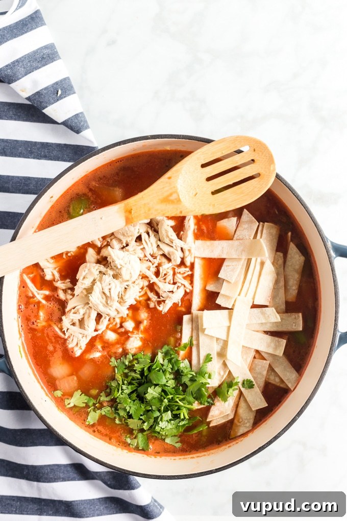 $80 Weekly Meal Plan: 5 Budget-Friendly Dinners for the Week 6 Tortilla Soup (8 of 19)
