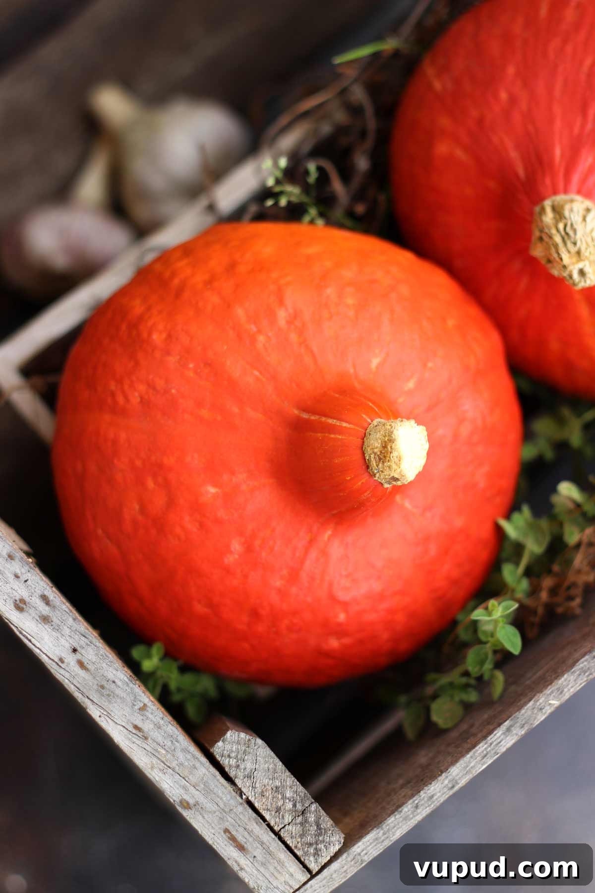Pumpkin for the Pasta