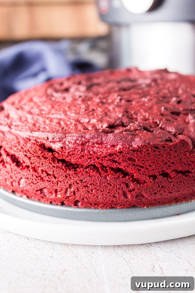 Crispy-Edged Red Velvet Brownies Made in an Air Fryer 4 air fryer red velvet brownies