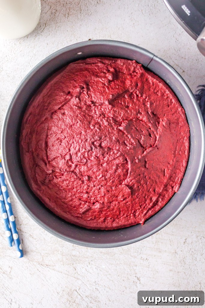 Crispy-Edged Red Velvet Brownies Made in an Air Fryer 6 air fryer red velvet brownies