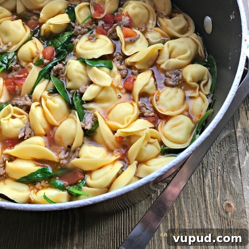 Creamy Sausage and Tortellini Soup Recipe for Cozy Nights 9 Tortellini Soup with Spinach and Sausage