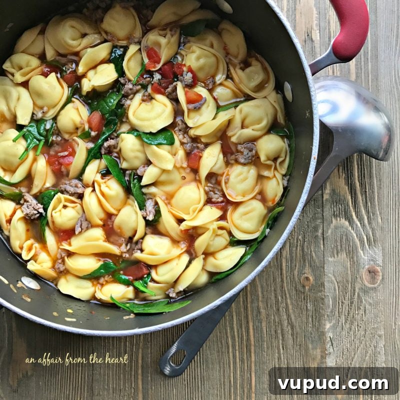 Creamy Sausage and Tortellini Soup Recipe for Cozy Nights 10 Tortellini Soup with Spinach and Sausage
