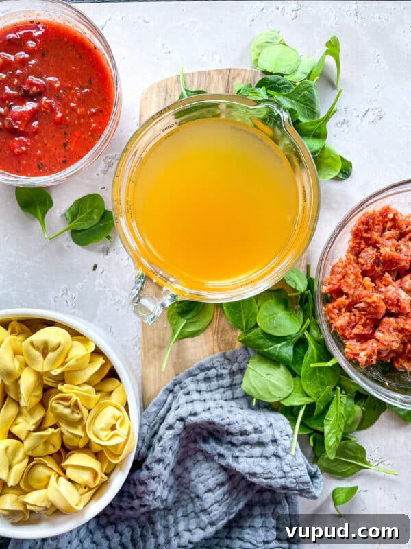 Creamy Sausage and Tortellini Soup Recipe for Cozy Nights 3 Tortellini soup ingredients