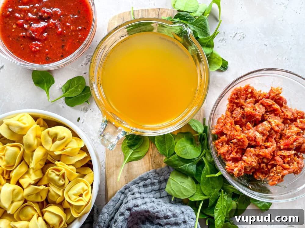 Creamy Sausage and Tortellini Soup Recipe for Cozy Nights 4 Close up of tortellini in broth