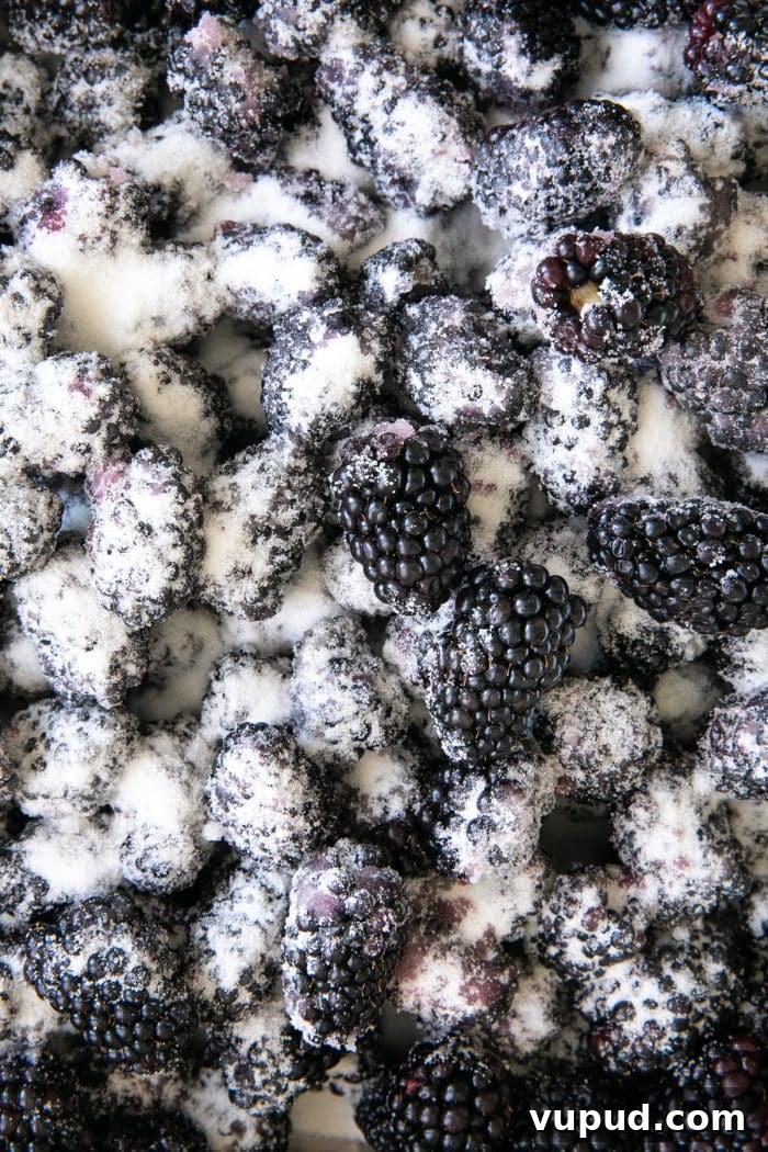 Classic Blackberry Cobbler Recipe: Sweet, Juicy, Homemade Dessert 4 Fresh blackberries coated in granulated sugar.