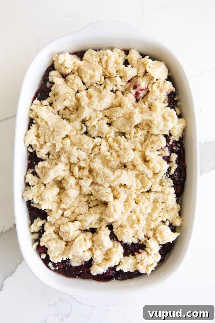 Classic Blackberry Cobbler Recipe: Sweet, Juicy, Homemade Dessert 6 Overhead image of an prepared blackberry cobbler ready to be baked in the oven.