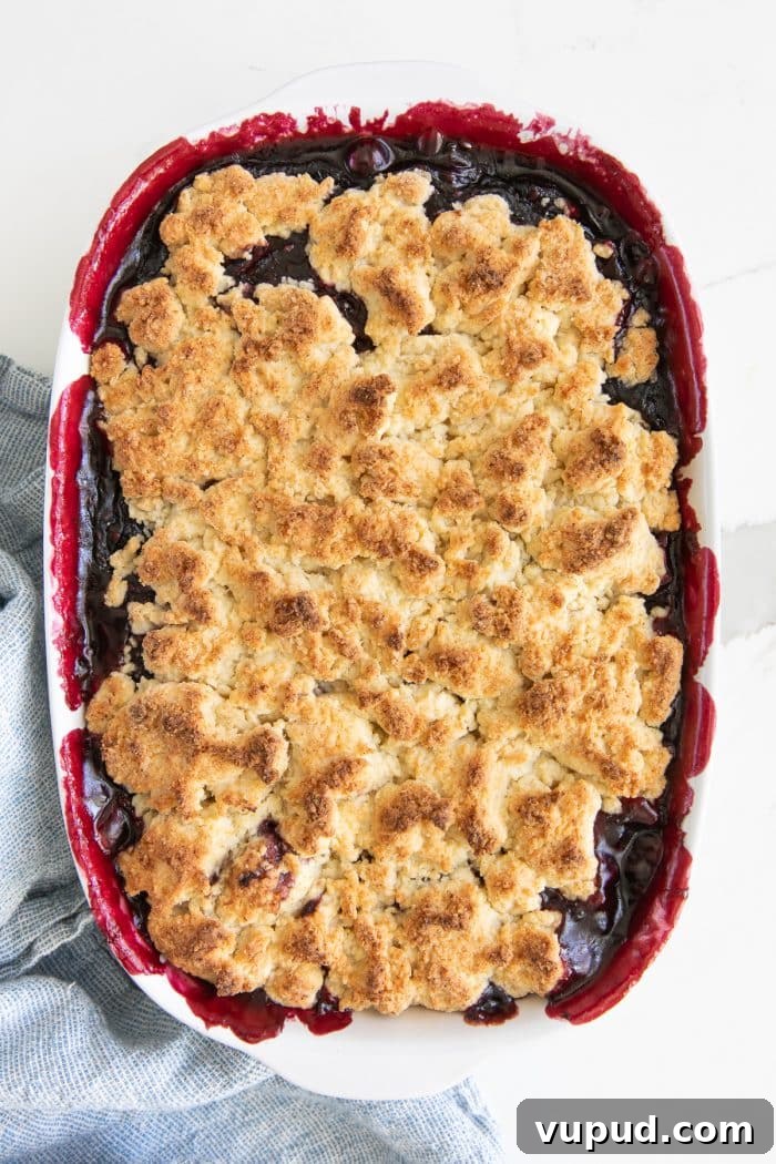 Classic Blackberry Cobbler Recipe: Sweet, Juicy, Homemade Dessert 7 Overhead image of a homemade blackberry cobbler with a golden buttery biscuit topping baked in a white baking dish.