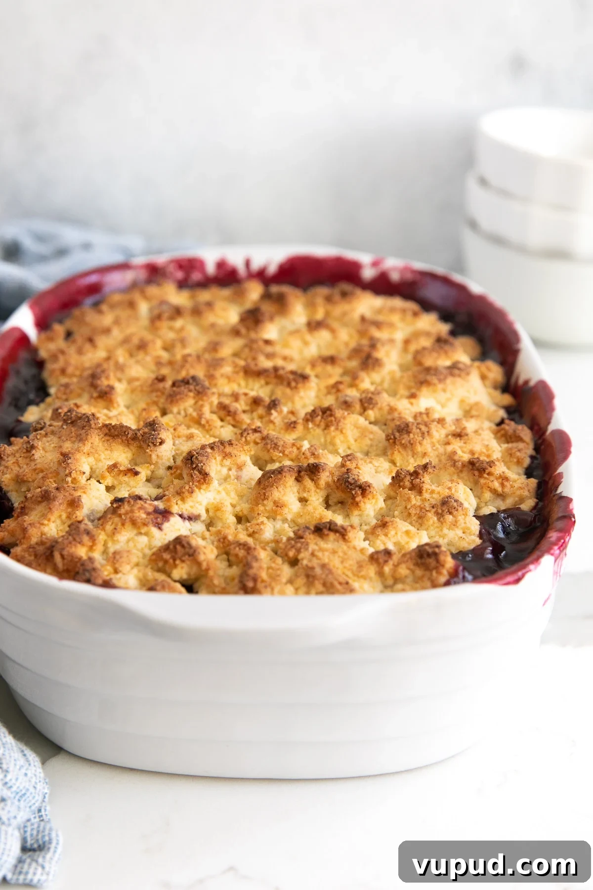 Classic Blackberry Cobbler Recipe: Sweet, Juicy, Homemade Dessert 8 Easy homemade blackberry cobbler with a golden buttery biscuit topping baked in a white baking dish.