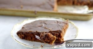 Crockpot Pumpkin White Chocolate Lava Cake Recipe 9 Chocolate Texas Sheet Cake