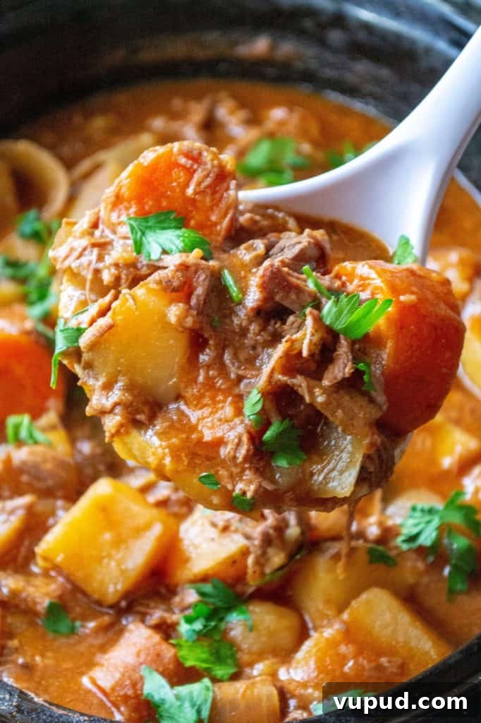 Slow Cooker Beef Stew with Potatoes and Carrots 2 Easy Slow Cooker Beef Stew serving spoon