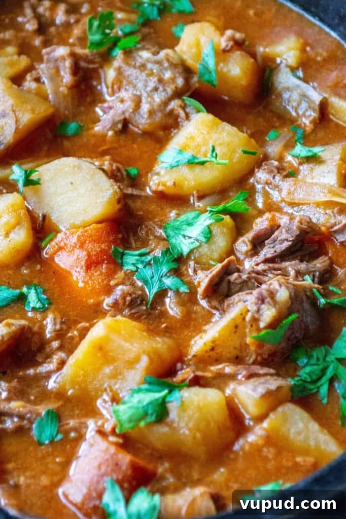 Slow Cooker Beef Stew with Potatoes and Carrots 5 Easy Slow Cooker Beef Stew is made with tender chunks of stew meat, tons of vegetables and a tasty, rich broth making this easy beef stew recipe the perfect slow cooker comfort food.