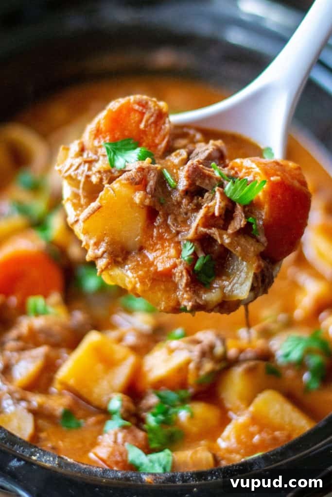 Slow Cooker Beef Stew with Potatoes and Carrots 6 img 8151 8