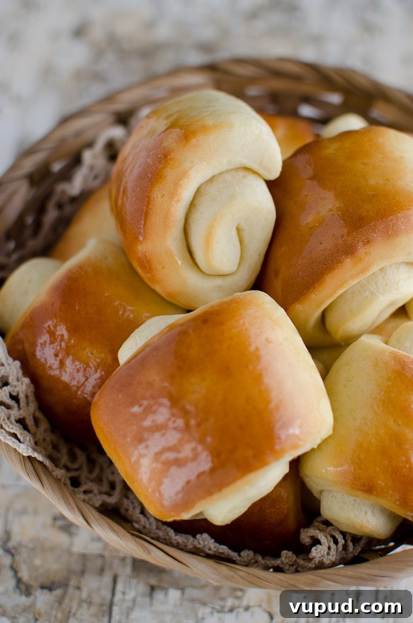 Lion House Dinner Rolls Recipe: Soft, Fluffy Salted Rolls 3 Buttery soft Lion House Dinner Rolls by SeededAtTheTable.com