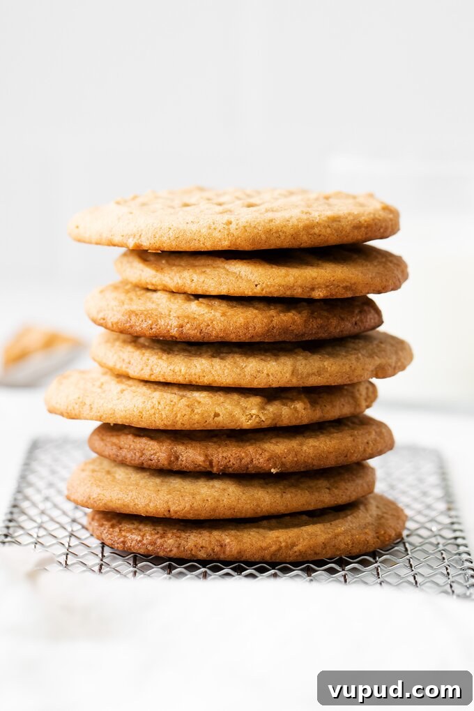 Brown Butter Peanut Butter Cookies Brown Butter Peanut Butter Cookies