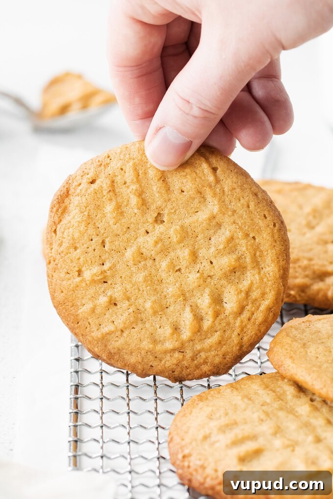 Peanut Butter Cookies Recipe Peanut Butter Cookies Recipe
