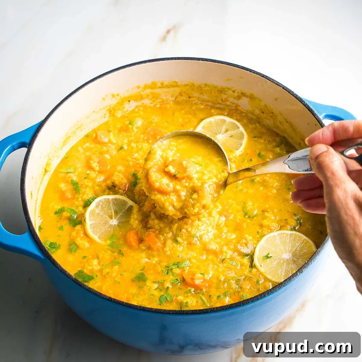 Lemony Vegan Chickpea and Rice Soup Recipe 9 Dutch oven with chunky lemony rice soup in a ladle.