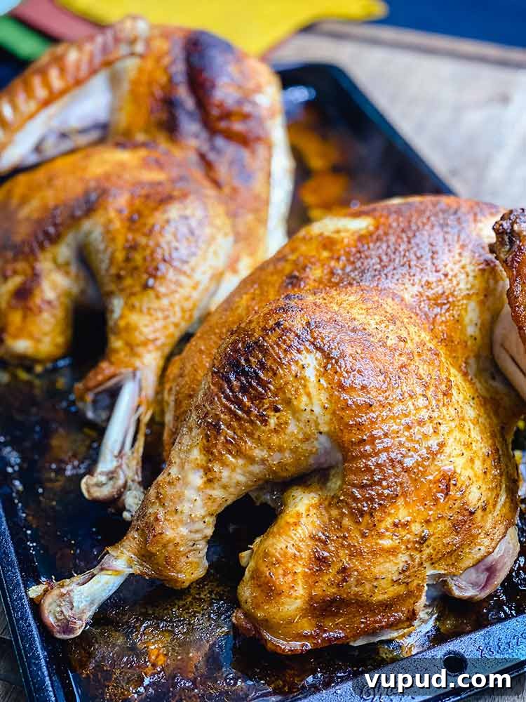 Nashville Hot Turkey: Spicy Southern Roast Recipe 4 img 9332 3