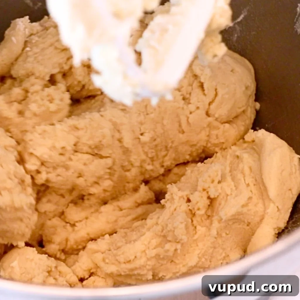 Classic Buttery Shortbread Cookies Recipe for Perfect Cookies 11 shortbread cookie dough in a mixing bowl