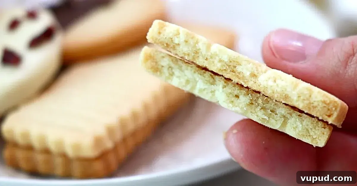 Classic Buttery Shortbread Cookies Recipe for Perfect Cookies 26 a close-up of shortbread cookie texture