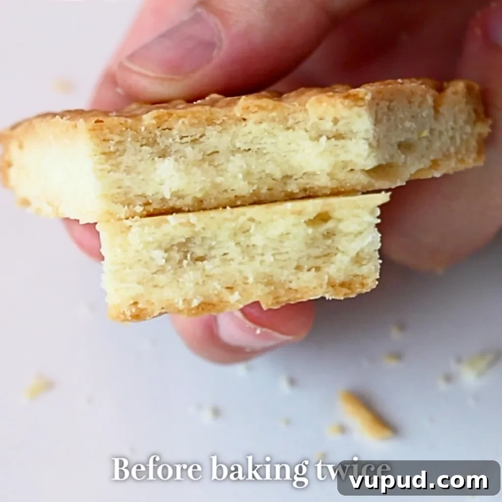 Classic Buttery Shortbread Cookies Recipe for Perfect Cookies 40 the texture of pressed shortbread cookies before baking twice