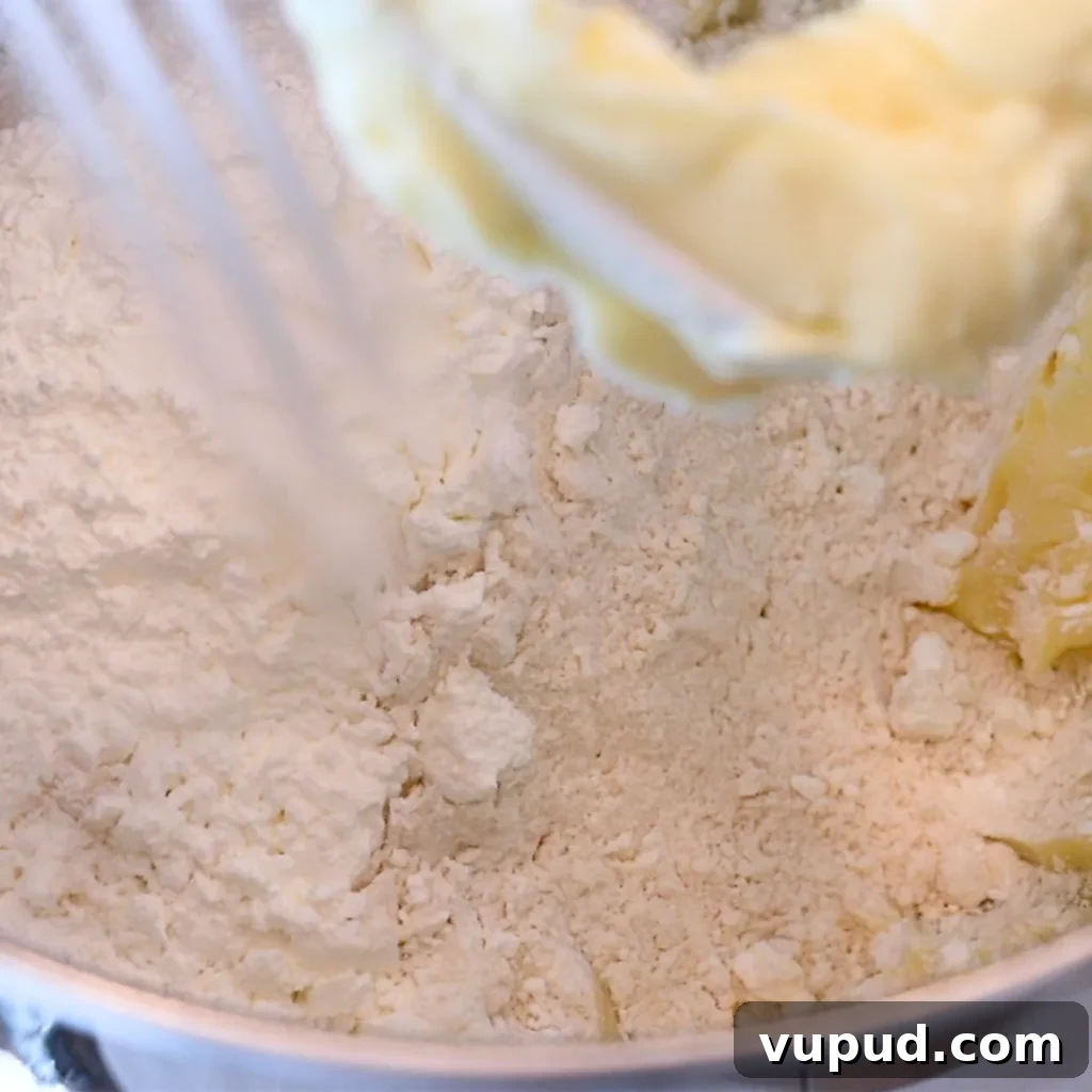 Classic Buttery Shortbread Cookies Recipe for Perfect Cookies 10 adding dried ingredients to the bowl to make shortbread cookies