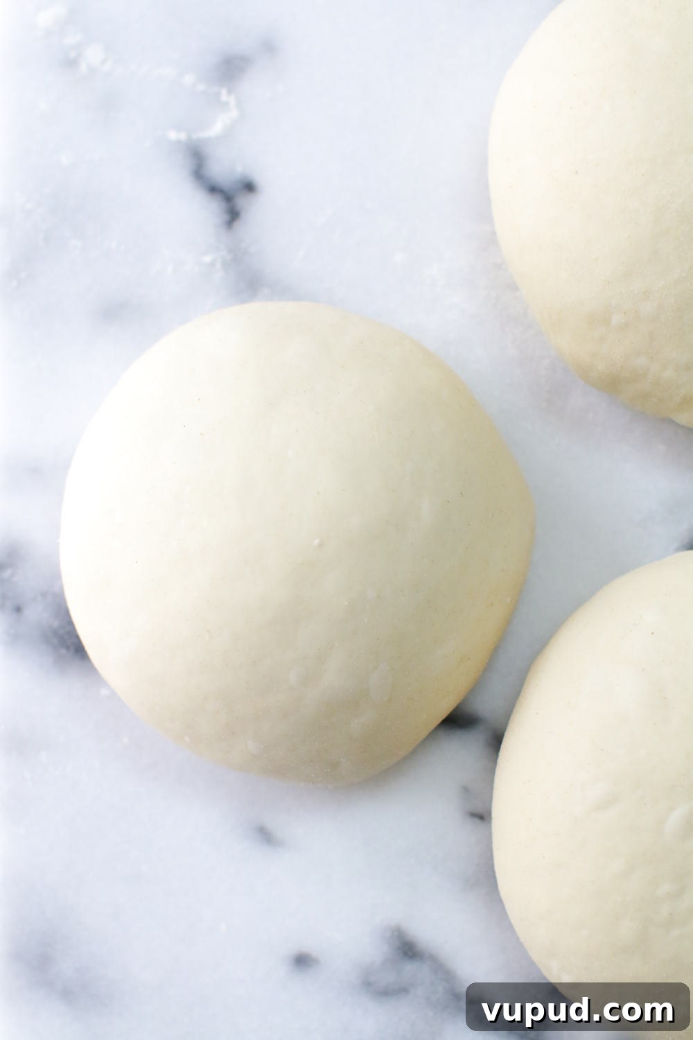 72-Hour Pizza Dough Recipe from Baking Steel 15 a close up of the pizza dough balls ready to chill for 48 hours