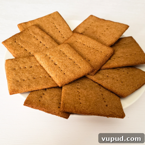 Quick 10-Minute Keto Graham Crackers with a Crunch 2 10 Minute Crunchy Keto Graham Crackers