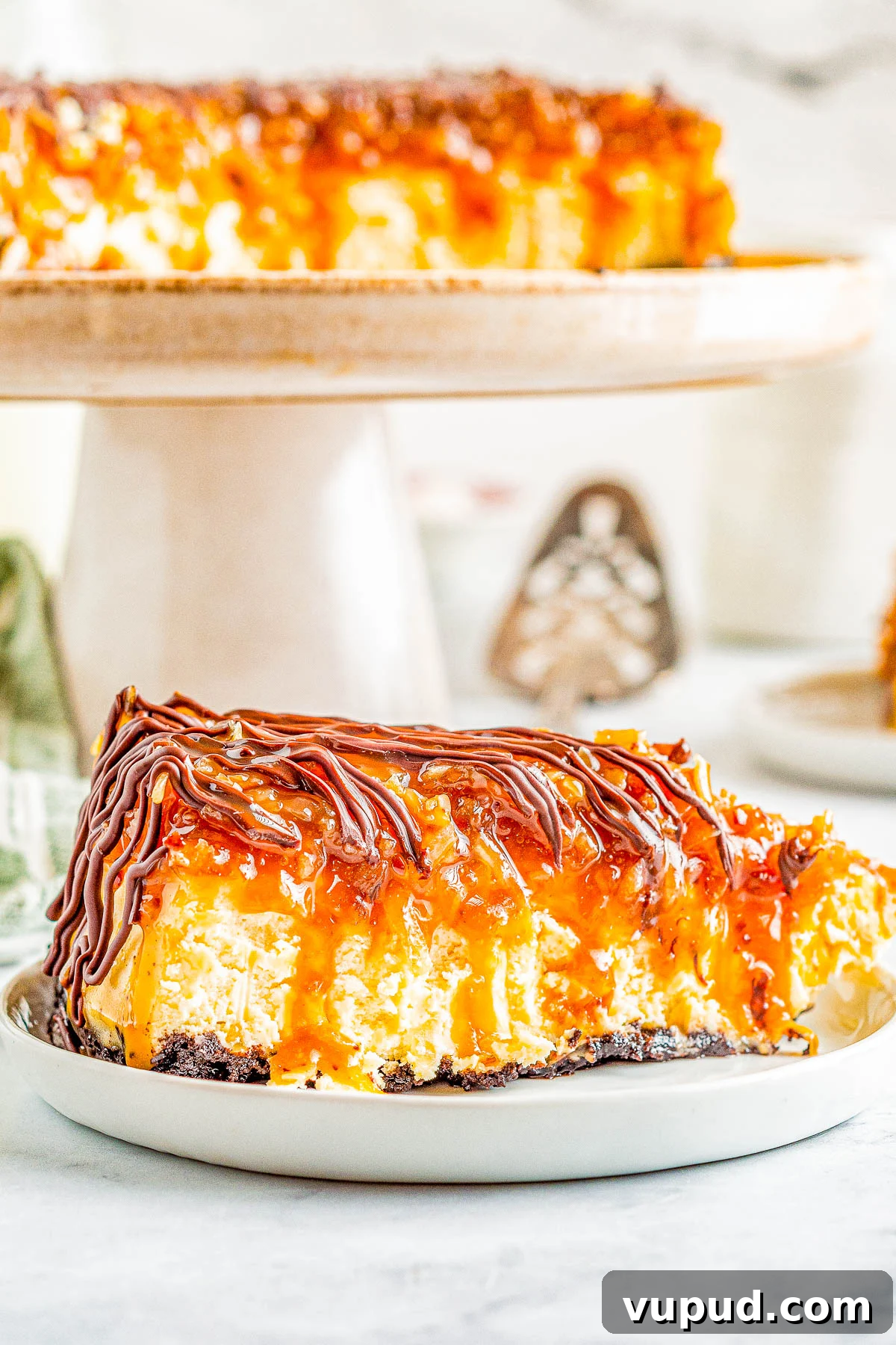 Classic New York Cheesecake Recipe: Creamy Oven-Baked Slice 27 A slice of samoa cheesecake on a plate.
