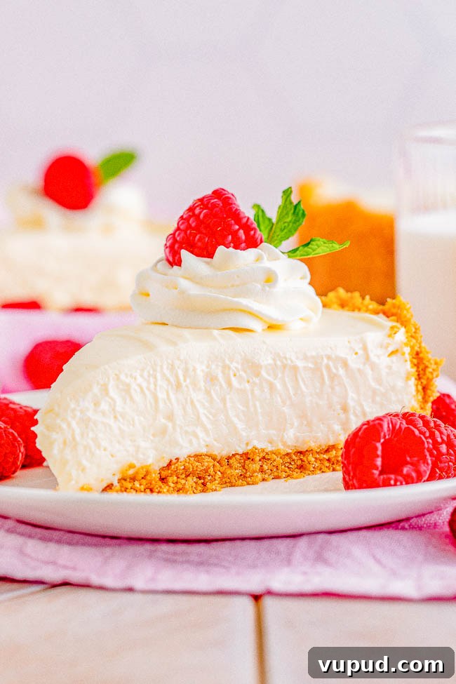 Classic New York Cheesecake Recipe: Creamy Oven-Baked Slice 28 A slice of the Best No-Bake Cheesecake topped with whipped cream and raspberries.