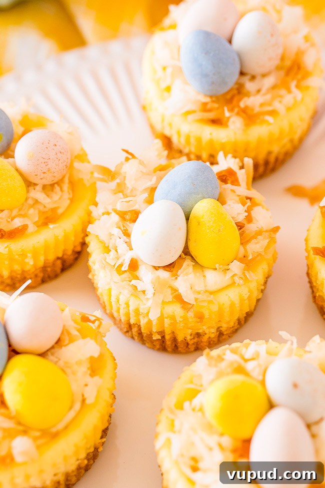 Classic New York Cheesecake Recipe: Creamy Oven-Baked Slice 29 Mini Easter Cheesecakes topped with chocolate eggs.