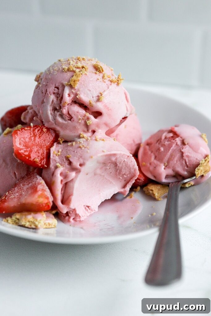 Strawberry Cheesecake Protein Ice Cream Recipe (Ninja Creami) 3 strawberry protein ice cream recipe in white bowl with silver spoon